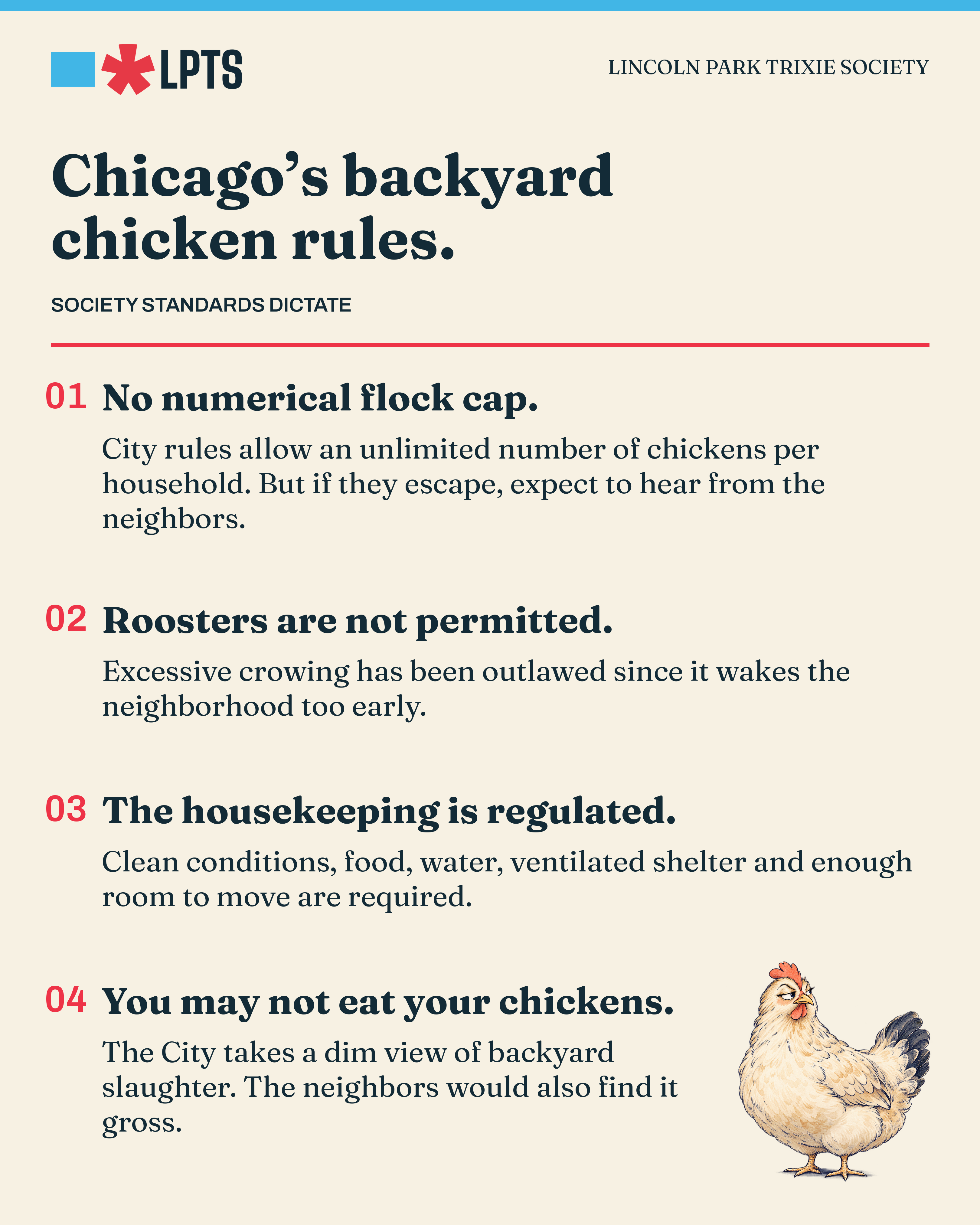 Chicago’s backyard chicken rules — Society standards dictate: 01 No numerical flock cap; 02 Roosters are not permitted; 03 The housekeeping is regulated; 04 You may not eat your chickens. A comical chicken stands in the lower-right corner.