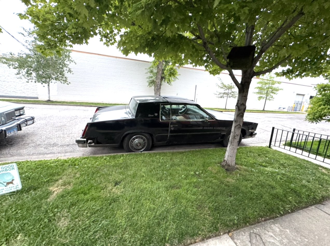 A long black Cadillac of a certain age, at rest beneath a parkway tree, wire wheels and all.