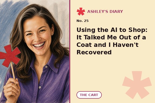 Using the AI to Shop: It Talked Me Out of a Coat and I Haven't Recovered